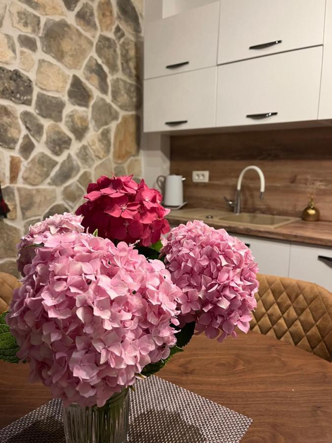 Apartment Madona Di